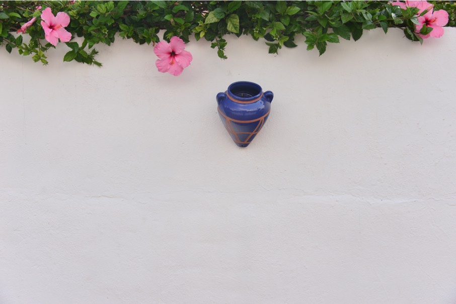 2020 02-07%2009.05.03